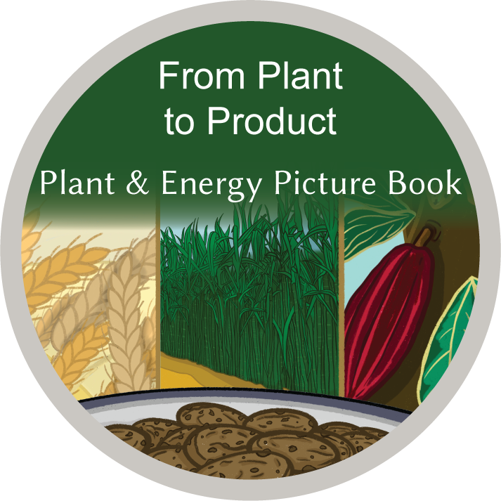 From Plant to Product Plant & Energy Picture Book